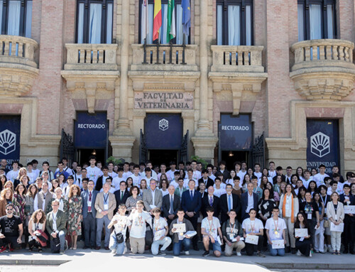 La Cátedra ENRESA de la Universidad de Córdoba colabora en el impulso del talento joven en las Olimpiadas Nacionales de Química
